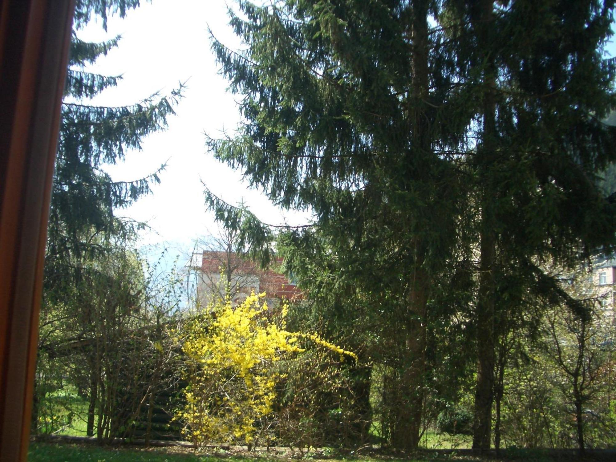 Apartment Gartenapartment