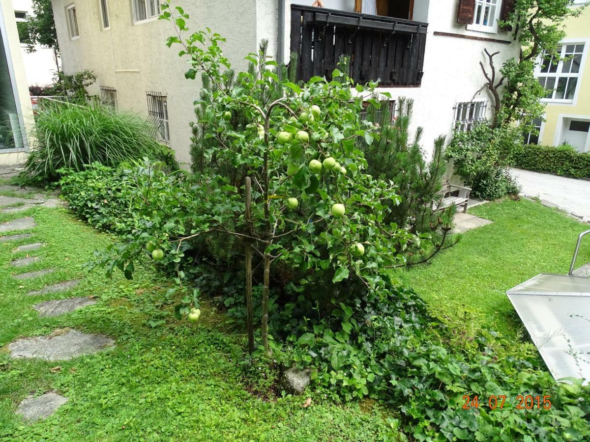 Apartment Gartenapartment *
